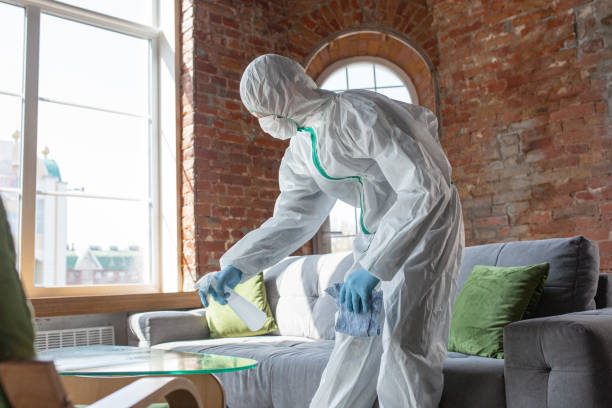  Jefferson City, MO Mold Removal Services Pros